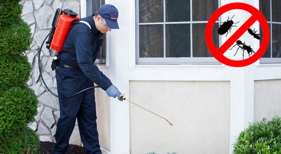 Balya Fare İlaçlama böcek ilaçlama ve haşere kontrolü — ilaclama-tr.com